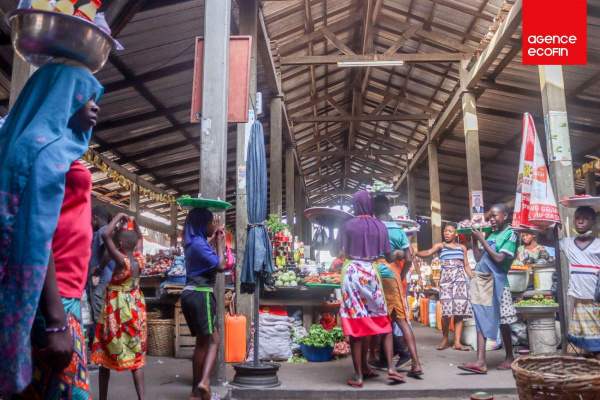 Togo : Comment s’enregistrer comme entreprise individuelle à la CNSS ?