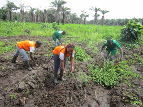 Togo : A forum for agricultural businesses will be held on Jan 21-22
